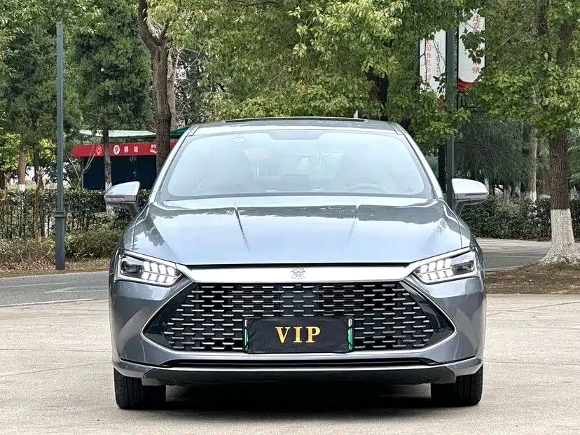 BYD Qin PLUS — фото 2