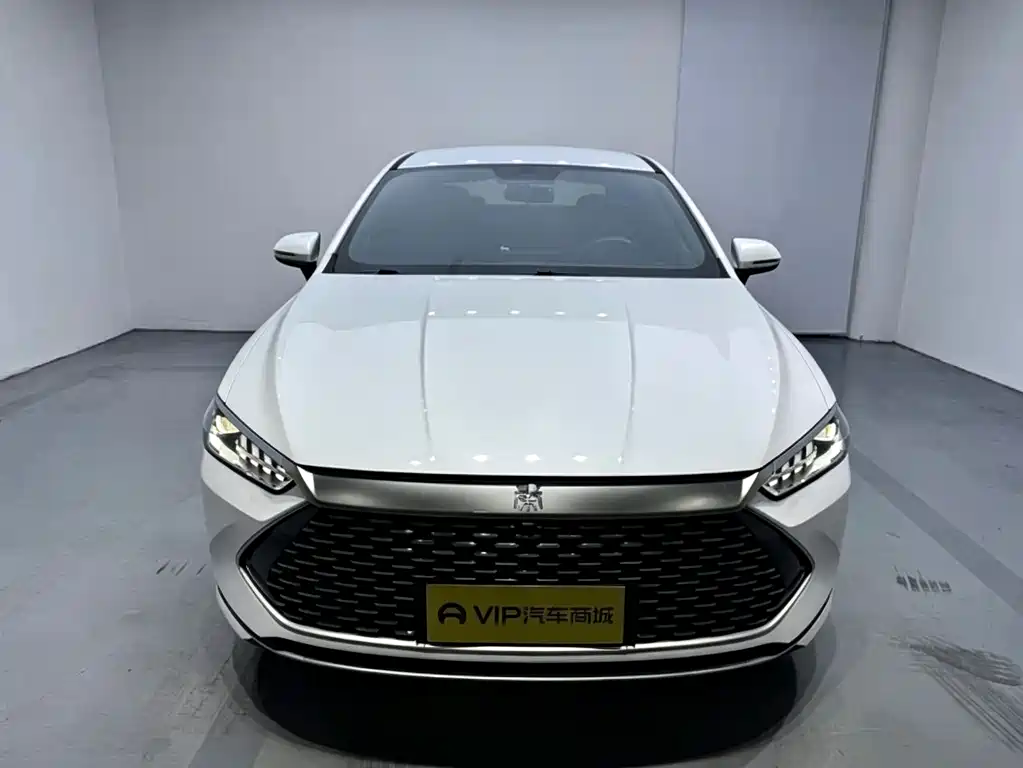 BYD Qin PLUS — фото 2
