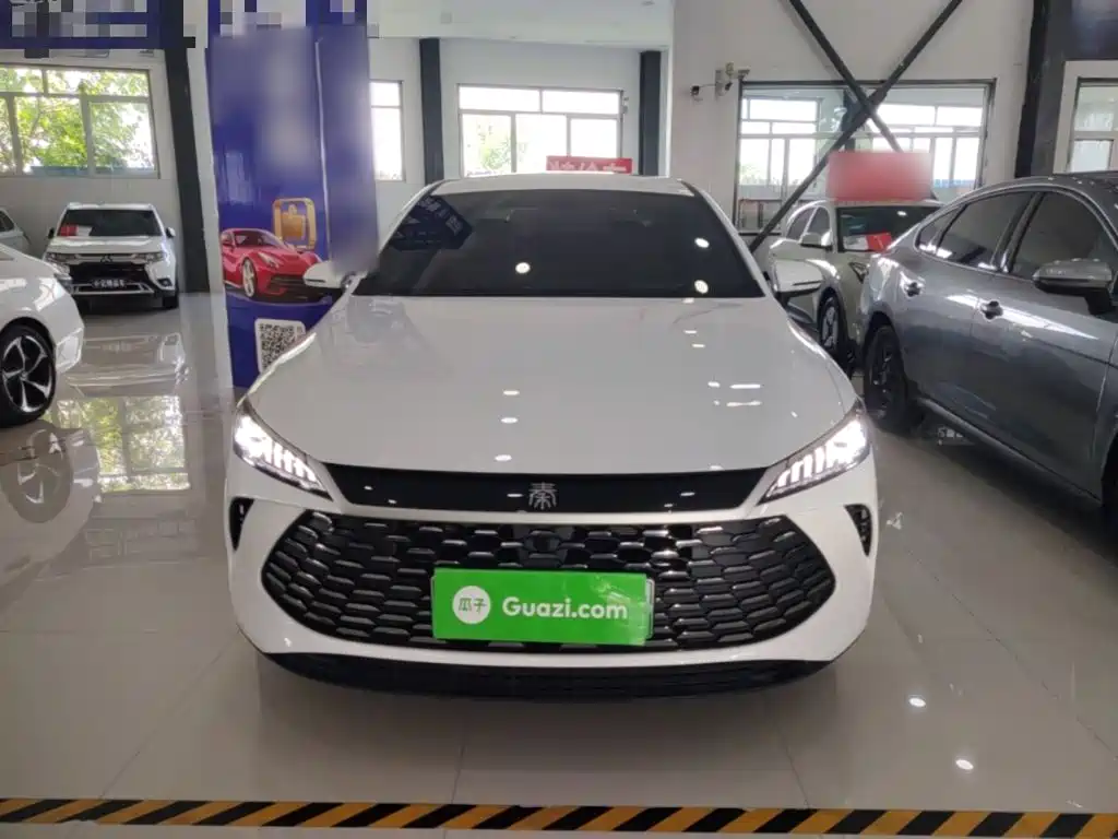 BYD Qin PLUS — фото 3