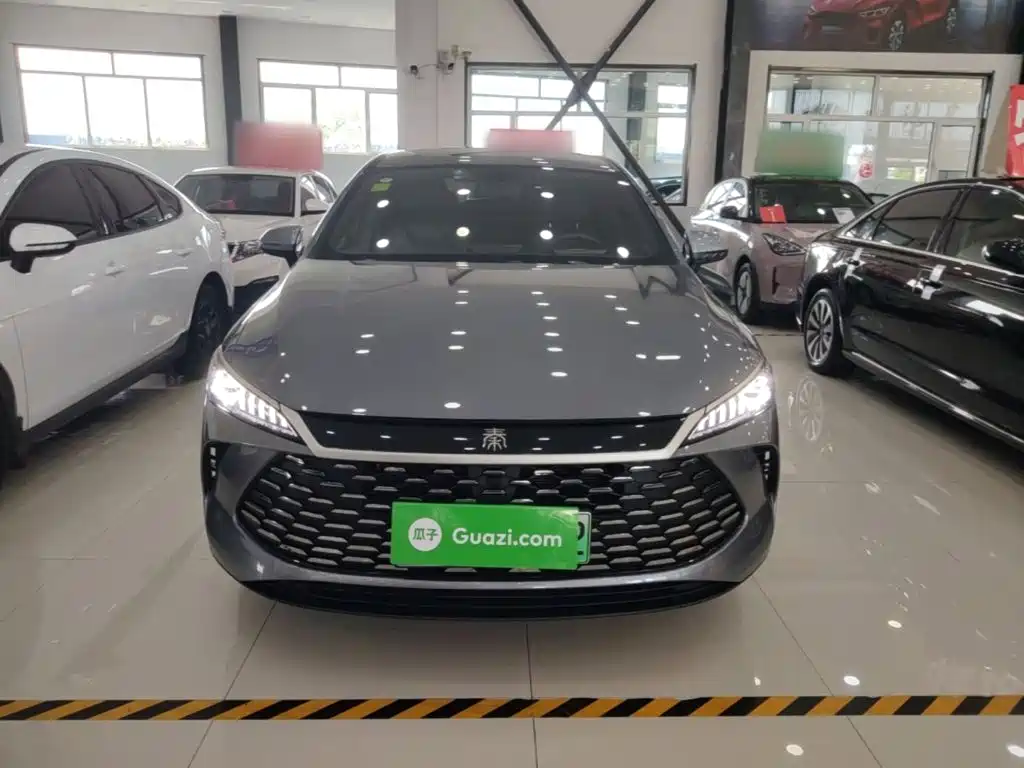 BYD Qin PLUS — фото 3