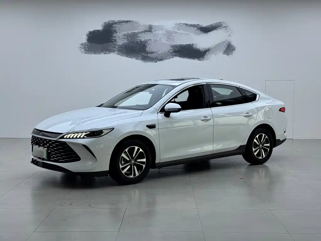 BYD Qin PLUS — фото 2