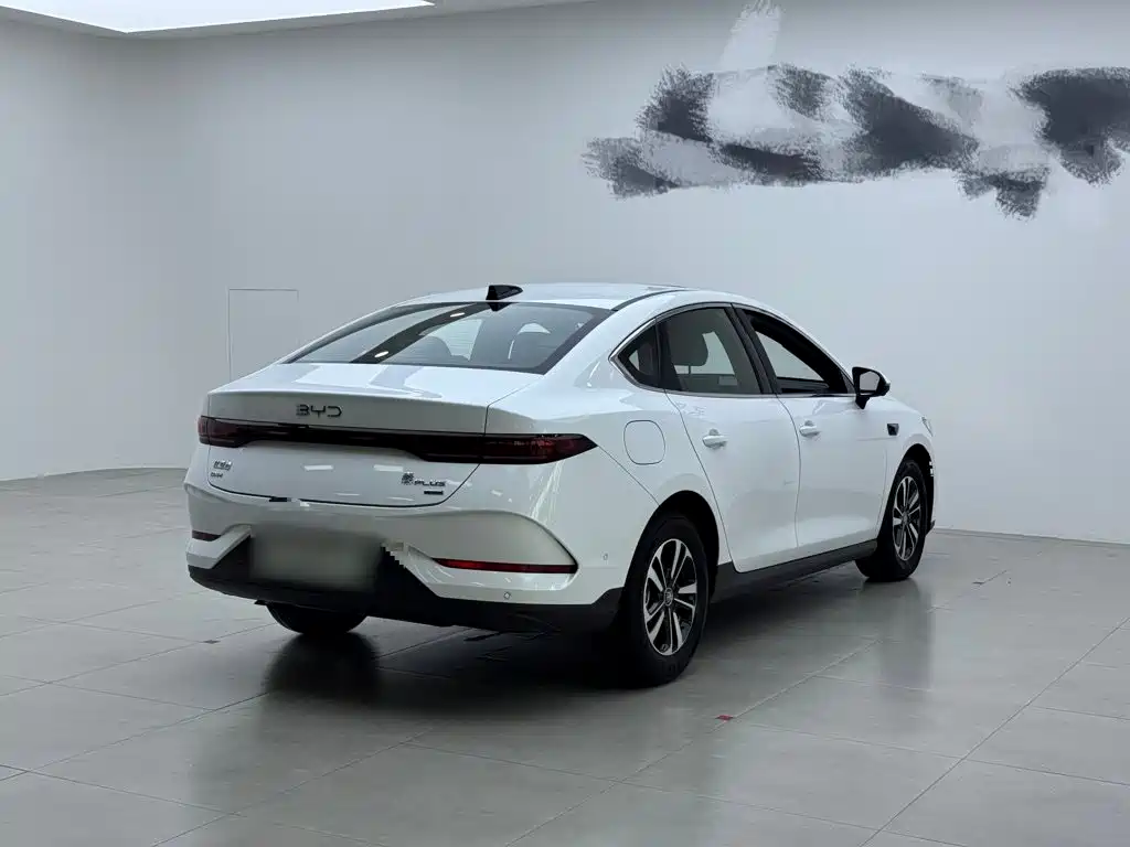BYD Qin PLUS — фото 11