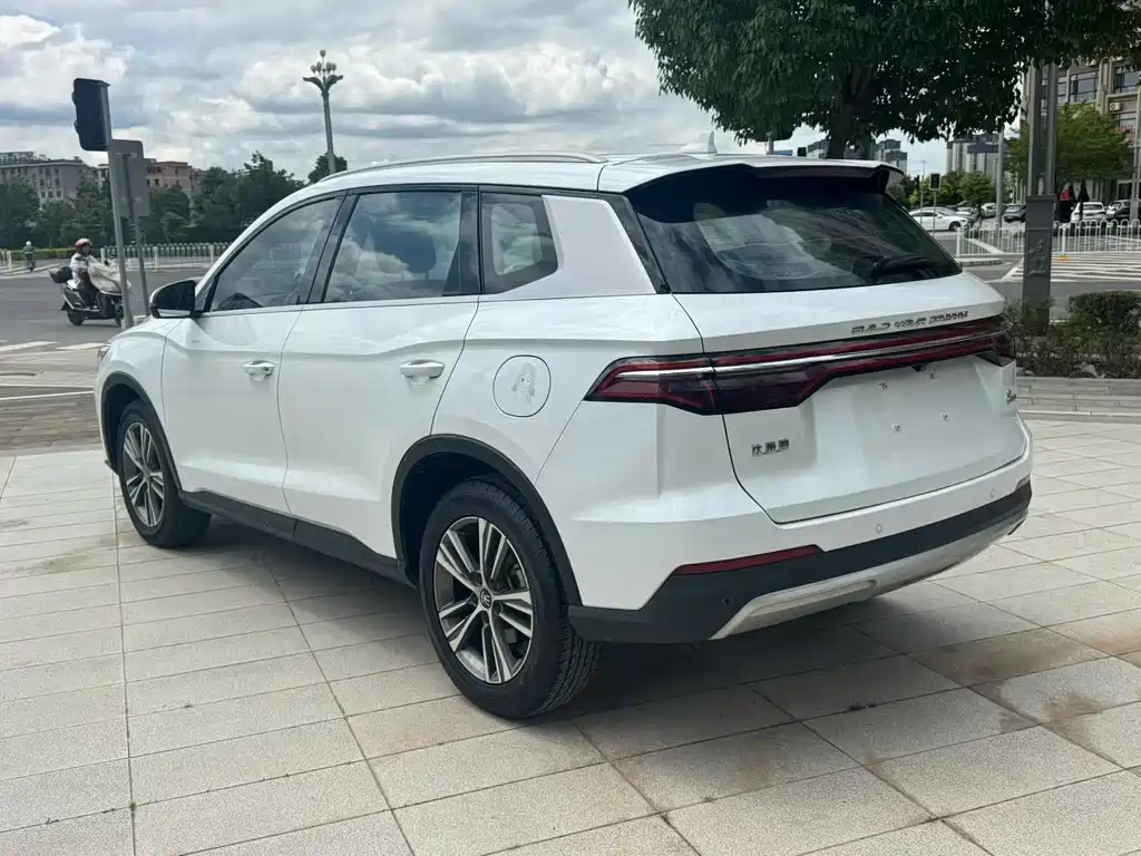 BYD Pro — фото 9