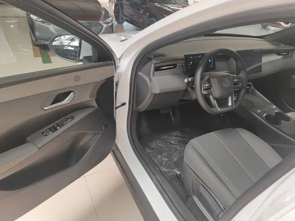 BYD Qin PLUS — фото 16