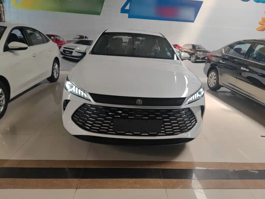 BYD Qin PLUS — фото 3