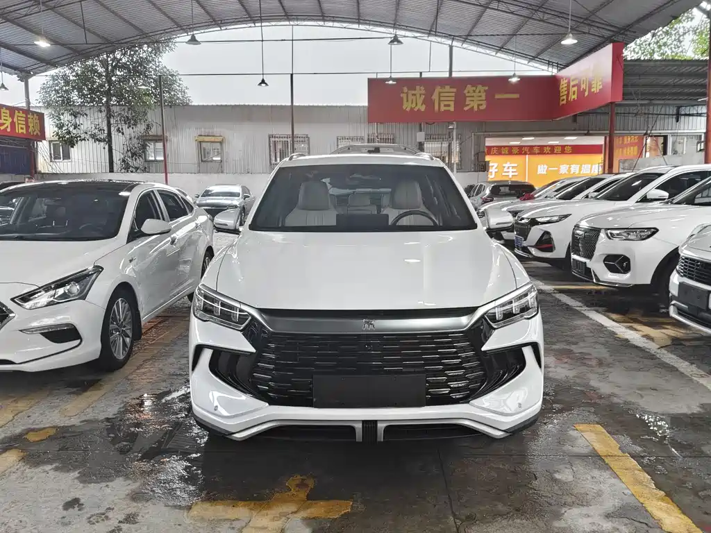 BYD Pro New Energy — фото 2
