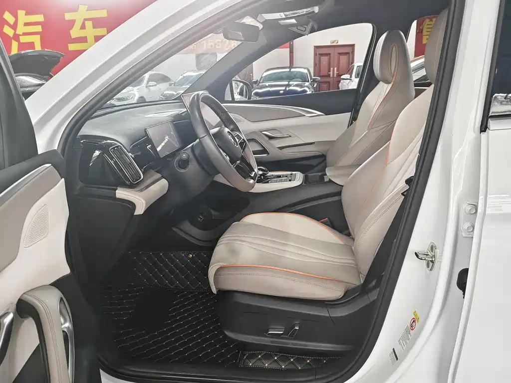 BYD Pro New Energy — фото 4