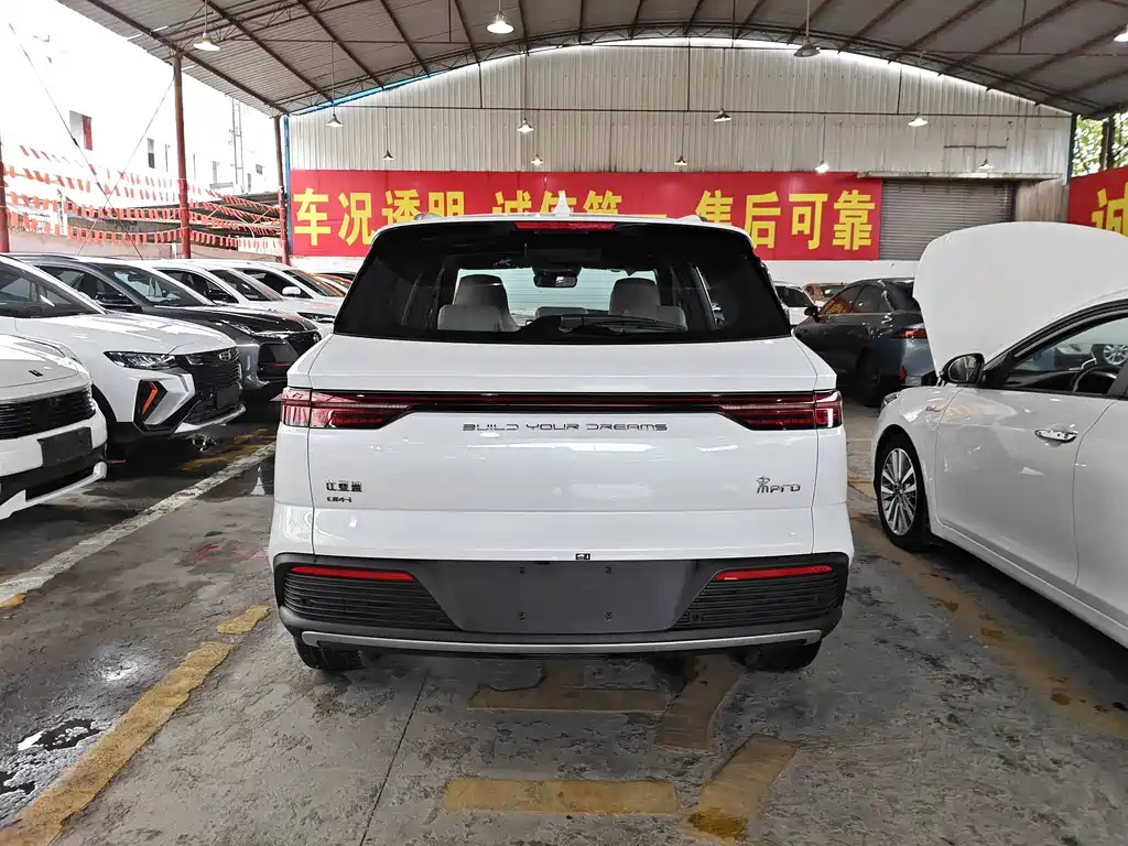 BYD Pro New Energy — фото 9