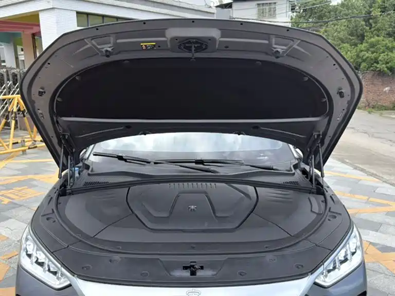 BYD PLUS New Energy — фото 14