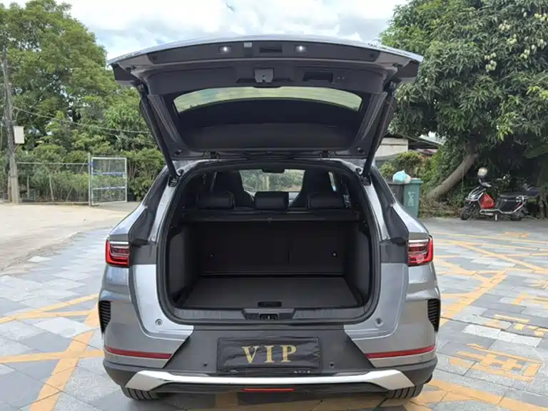 BYD PLUS New Energy — фото 6