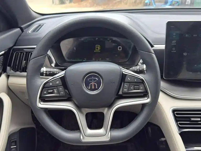 BYD PLUS New Energy — фото 8