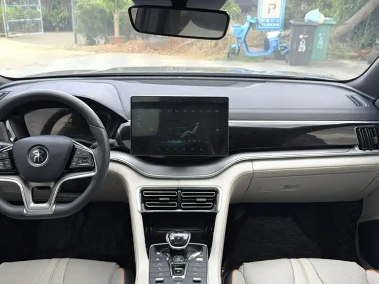 BYD PLUS New Energy — фото 10