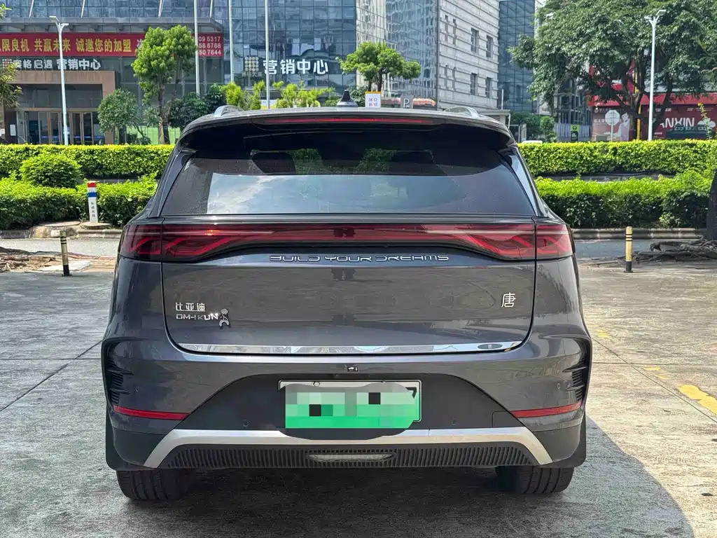BYD Tang New Energy — фото 5