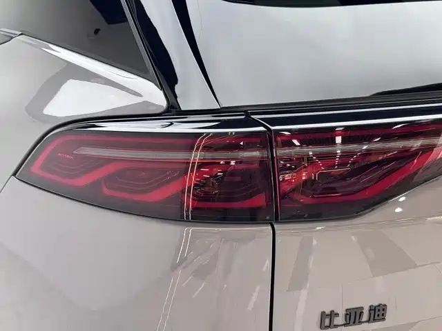 BYD Tang New Energy — фото 13