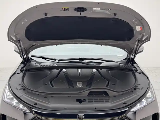 BYD Tang New Energy — фото 10