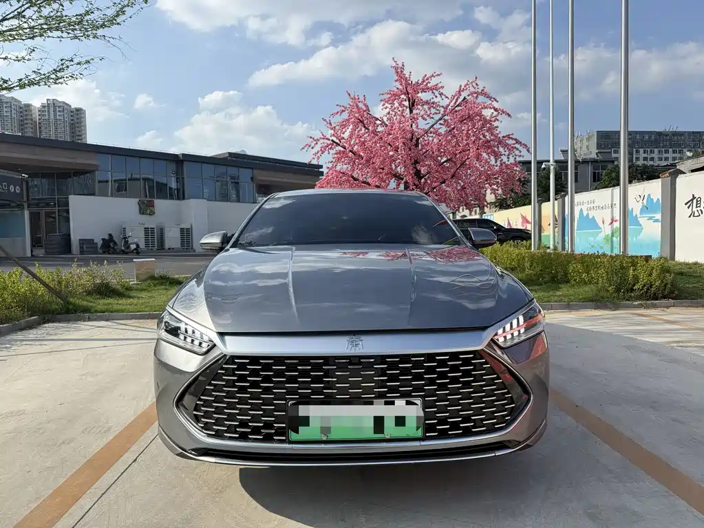 BYD Qin PLUS — фото 2