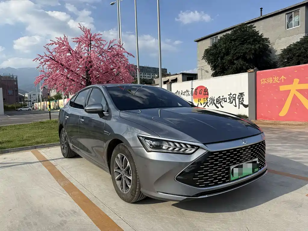 BYD Qin PLUS — фото 3