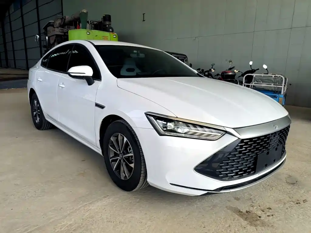 BYD Qin PLUS — фото 4