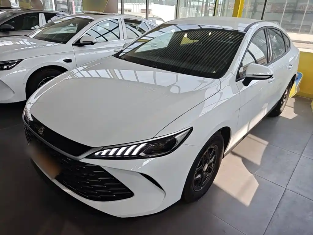 BYD Qin PLUS — фото 2