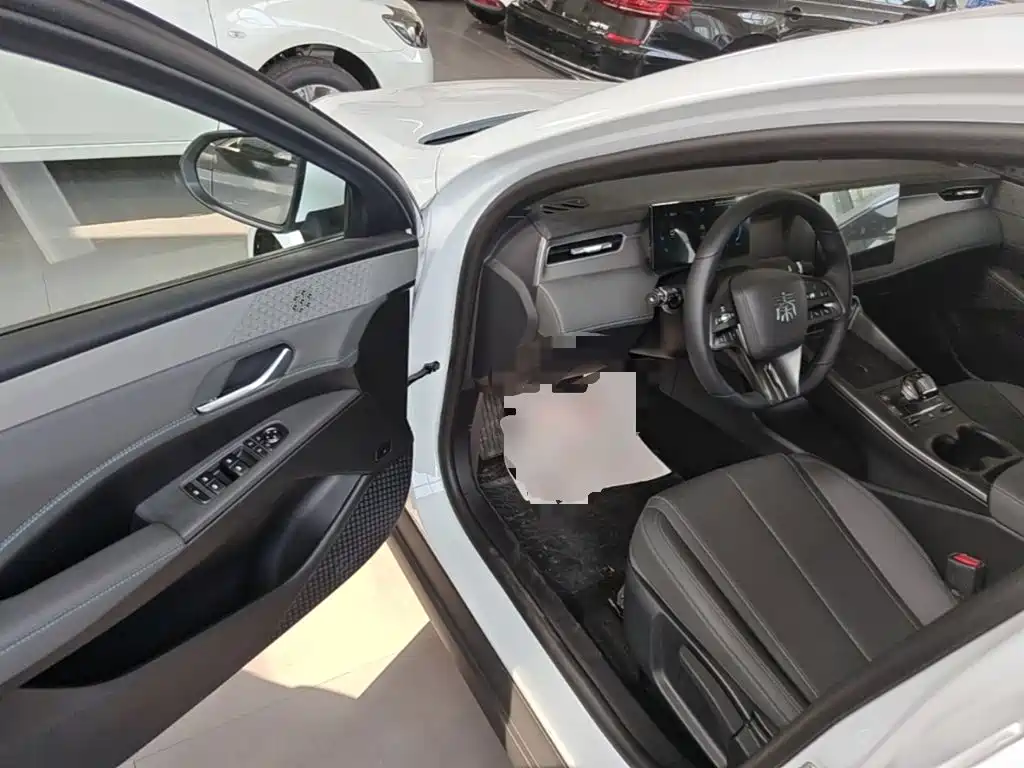 BYD Qin PLUS — фото 16