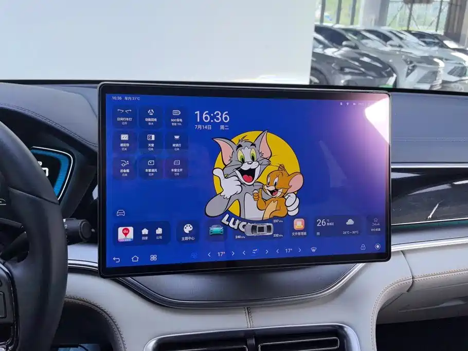 BYD PLUS New Energy — фото 13