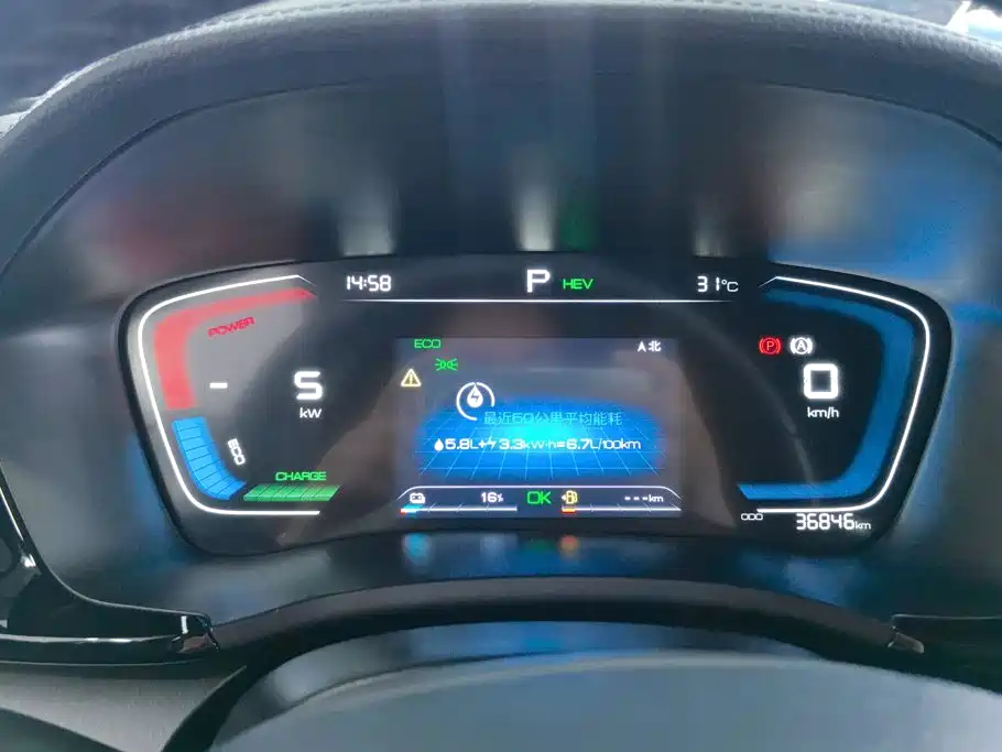 BYD PLUS New Energy — фото 14