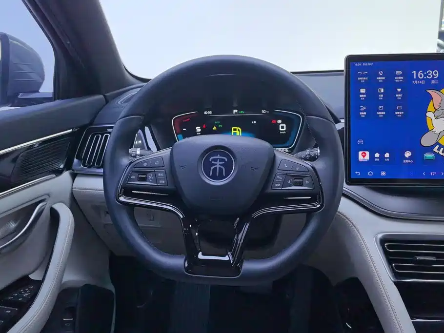 BYD PLUS New Energy — фото 15