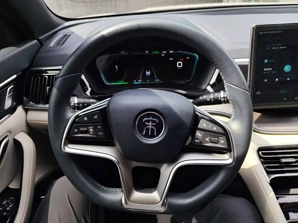 BYD PLUS New Energy — фото 11