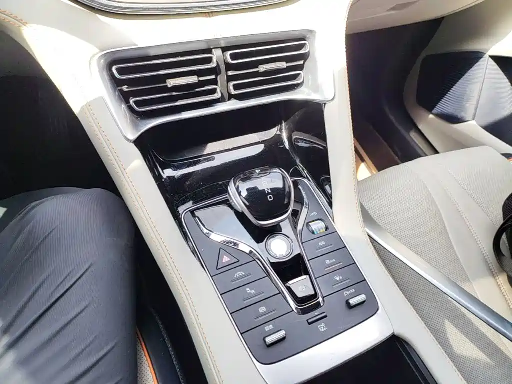 BYD PLUS New Energy — фото 14