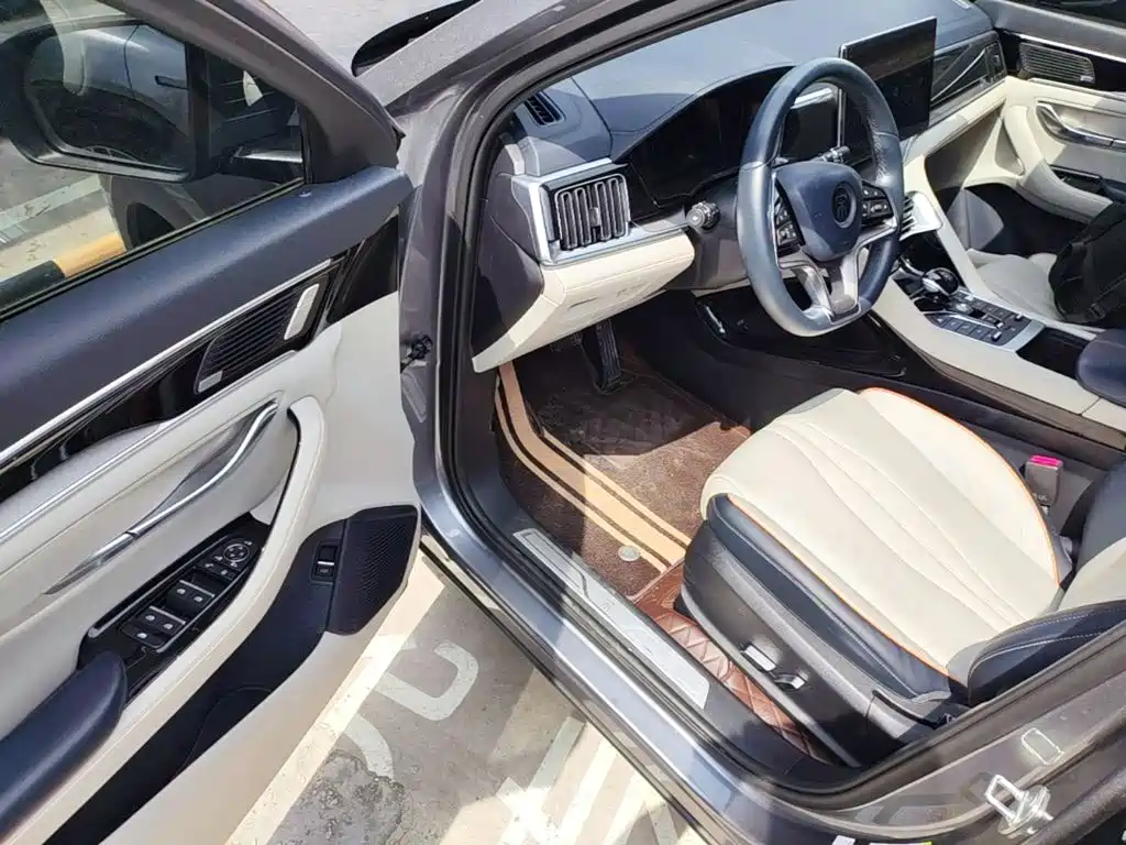 BYD PLUS New Energy — фото 16
