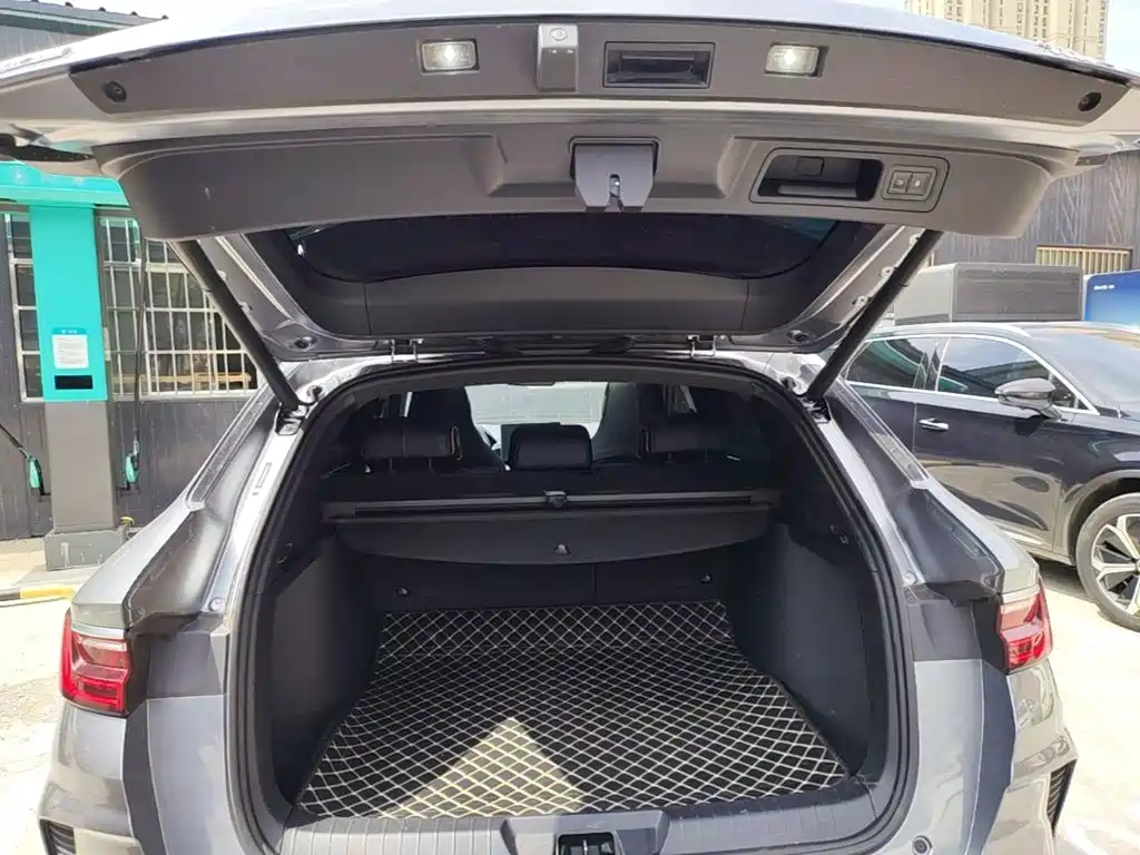 BYD PLUS New Energy — фото 19