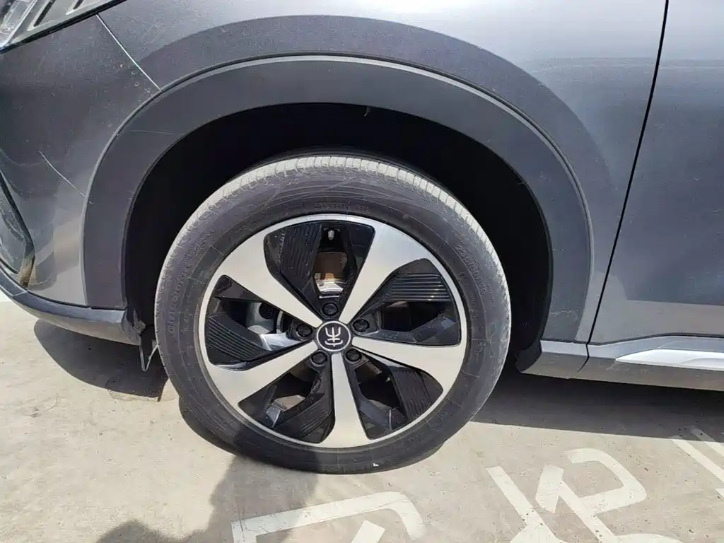 BYD PLUS New Energy — фото 23