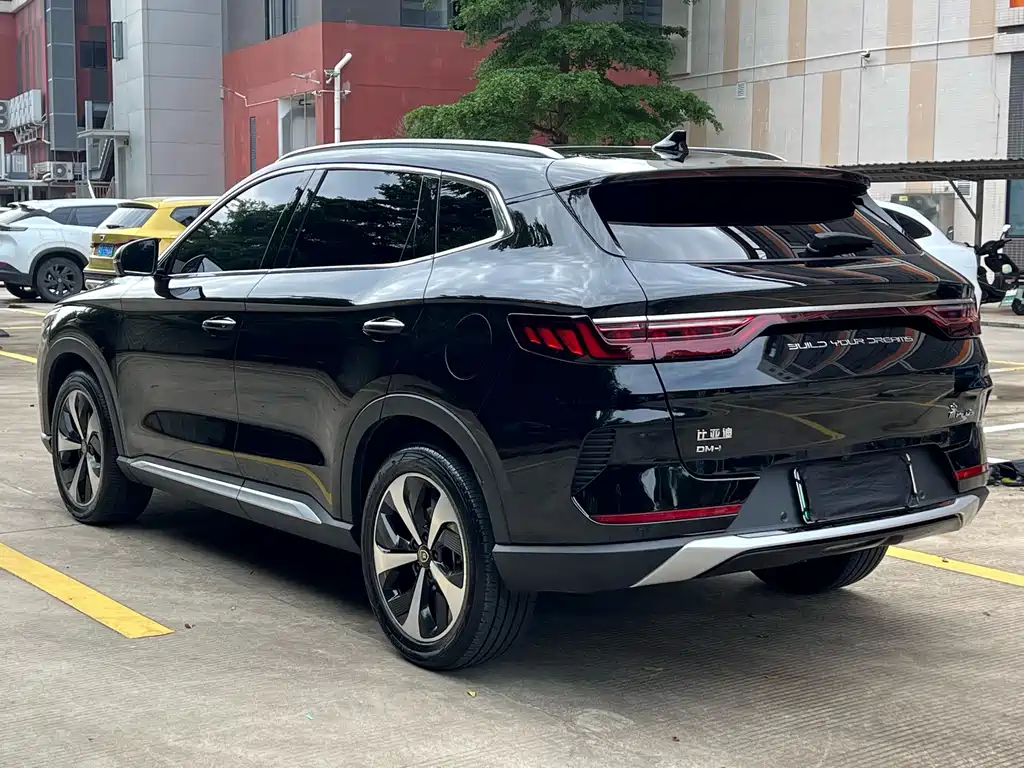 BYD PLUS New Energy — фото 3