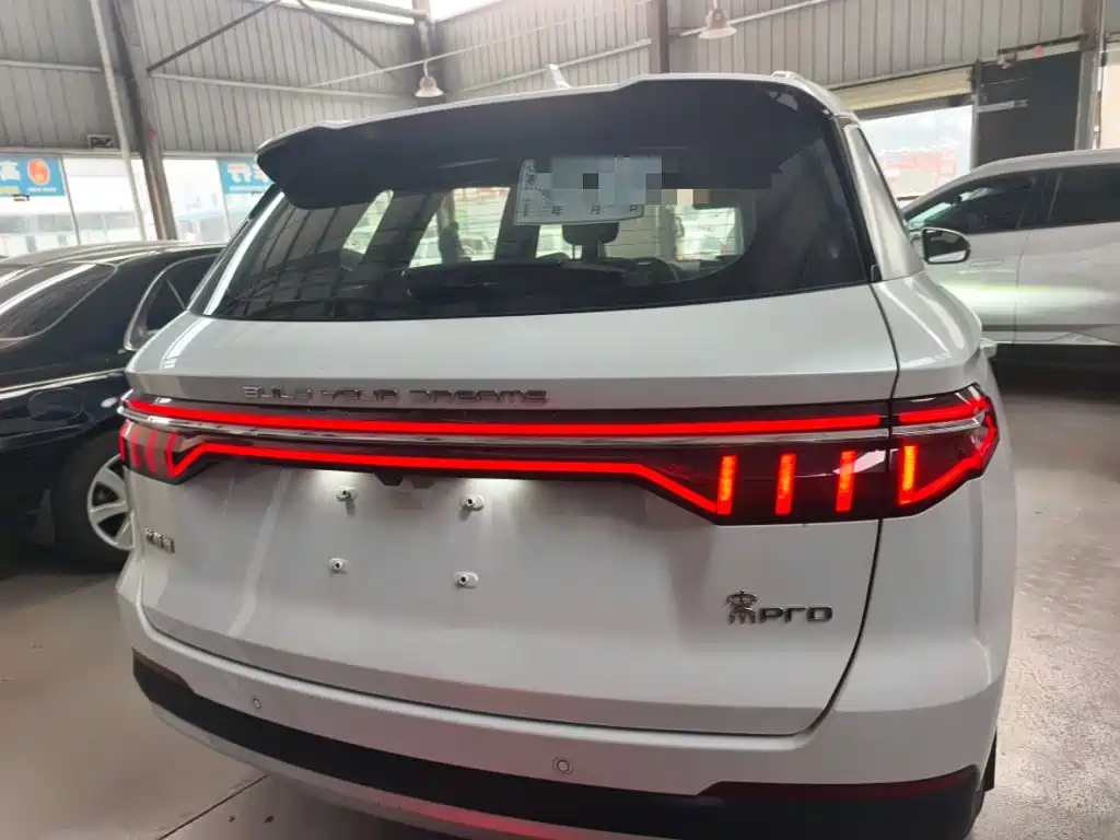 BYD Pro — фото 22