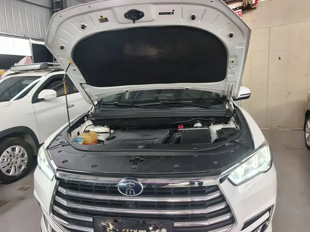 BYD Pro — фото 10
