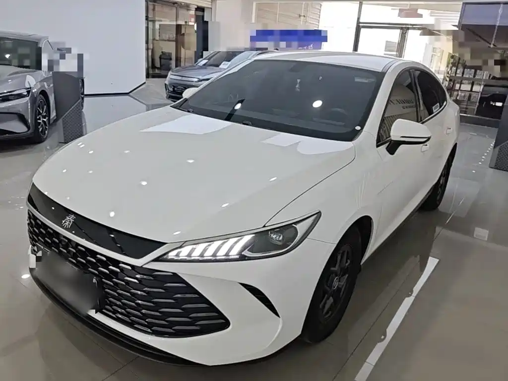 BYD Qin PLUS — фото 2