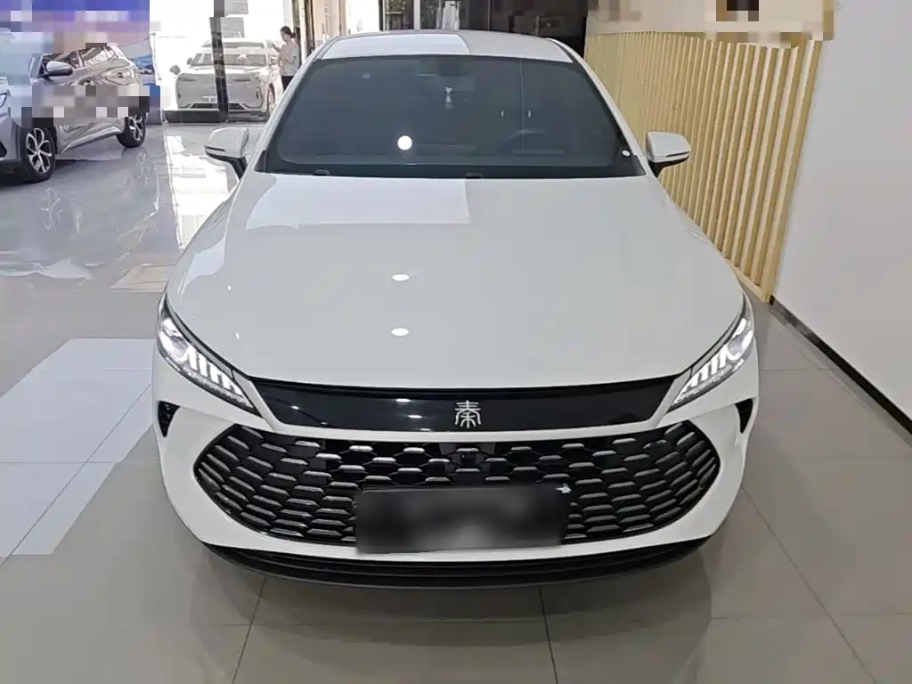 BYD Qin PLUS — фото 3