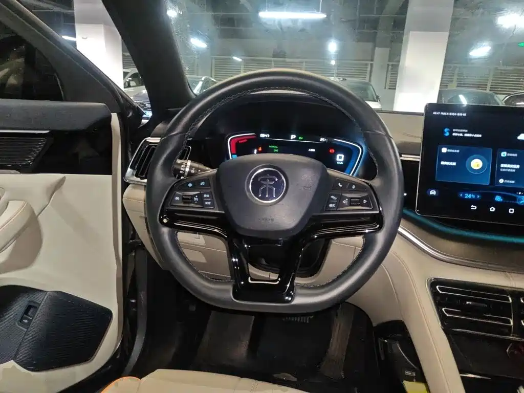 BYD PLUS New Energy — фото 3