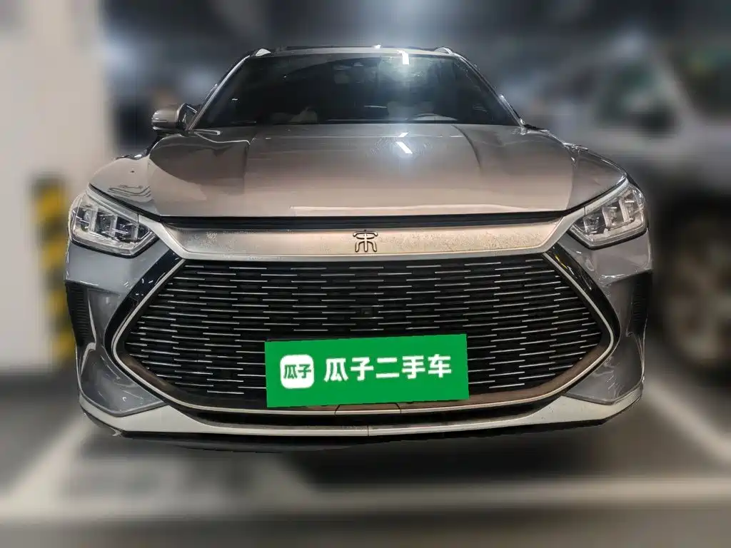 BYD PLUS New Energy — фото 24