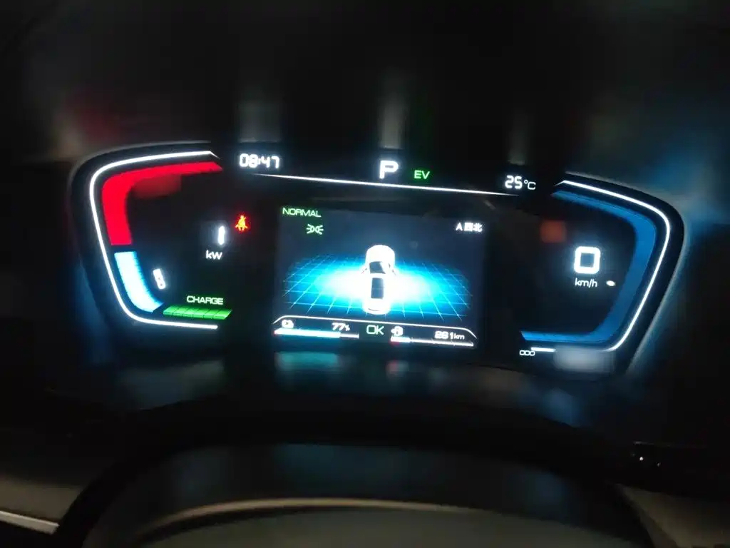 BYD PLUS New Energy — фото 4