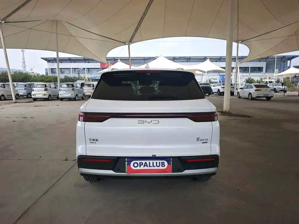 BYD Pro New Energy — фото 9