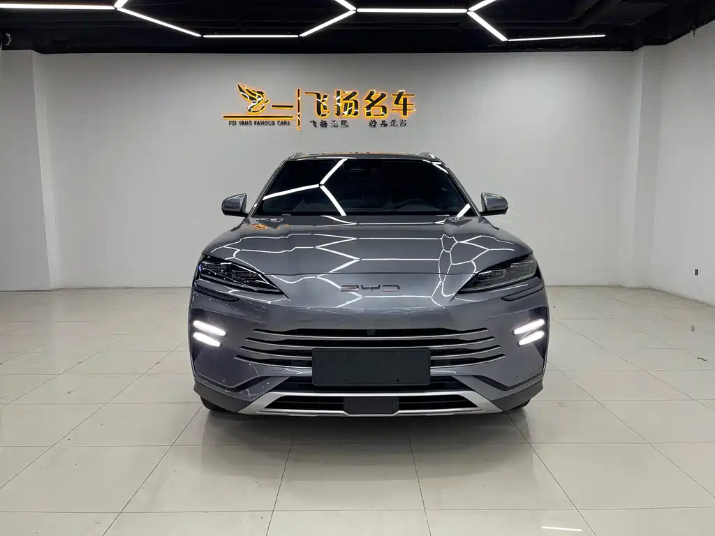 BYD PLUS New Energy — фото 2