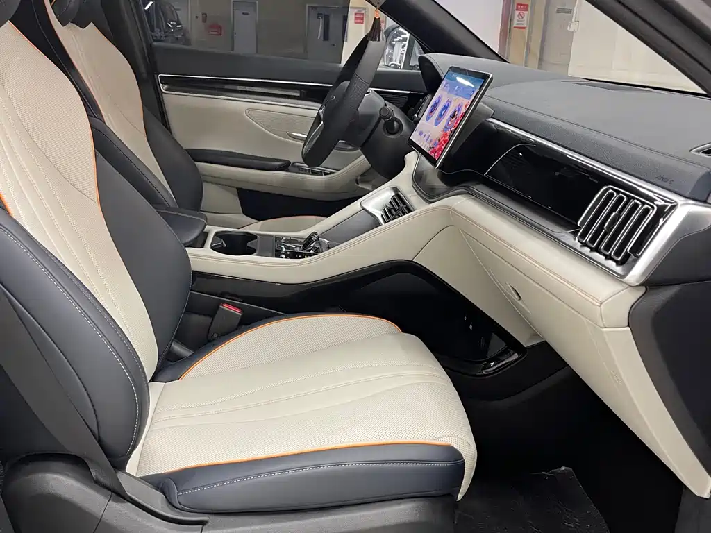 BYD PLUS New Energy — фото 6