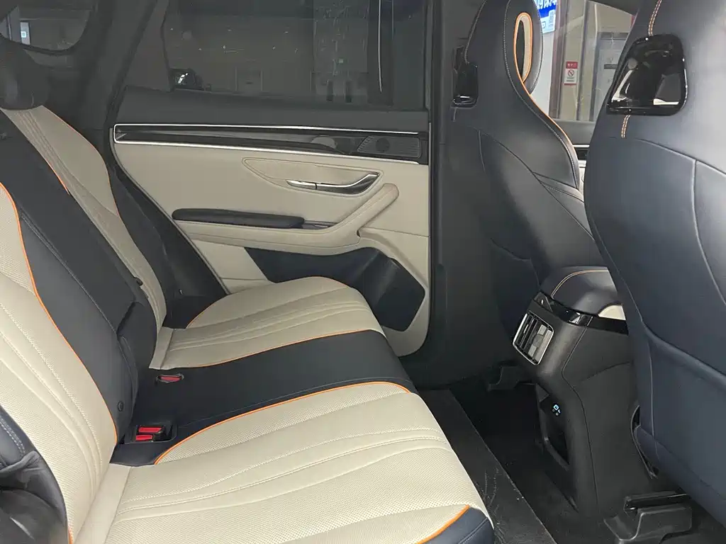 BYD PLUS New Energy — фото 10