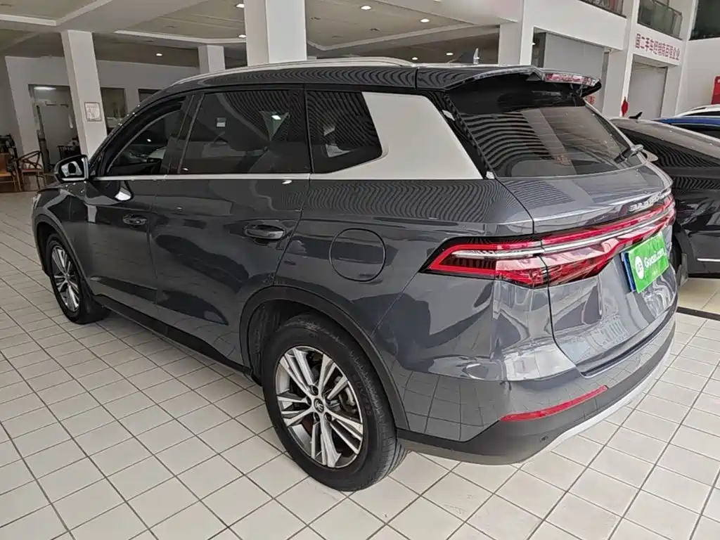 BYD Pro — фото 5
