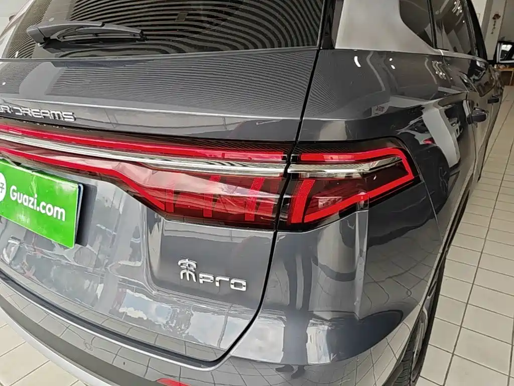 BYD Pro — фото 8