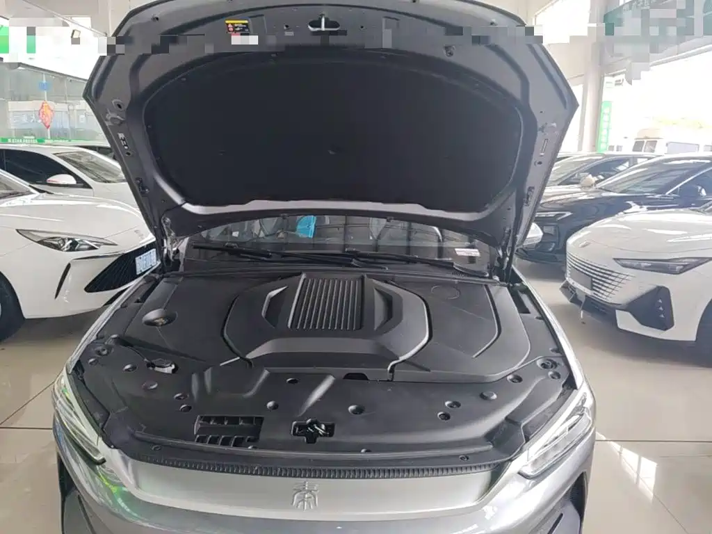 BYD Qin PLUS — фото 20