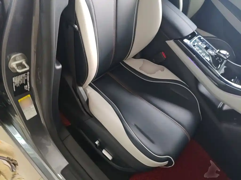 BYD Qin PLUS — фото 25