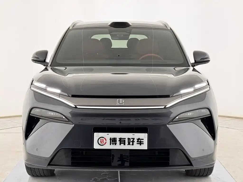 BYD Tang L — фото 2