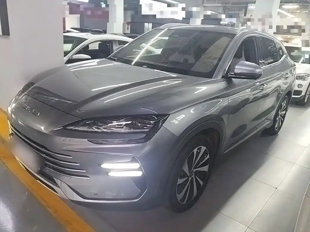 BYD PLUS New Energy — фото 2
